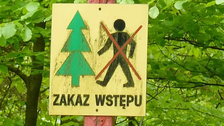 Zakaz wstępu do lasu