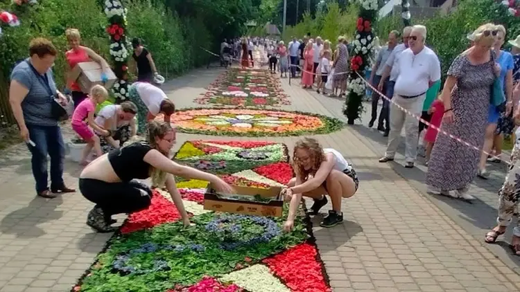 Kwietne dywany na procesję Bożego Ciała
