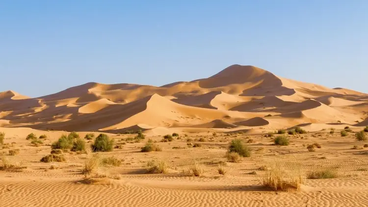 wydmy na Saharze