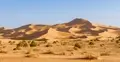 wydmy na Saharze