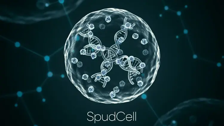 SpudCell. Sztuczna komórka