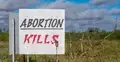 transparent "aborcja zabija"