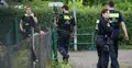 Operacja niemieckiej policji w ogródkach działkowych