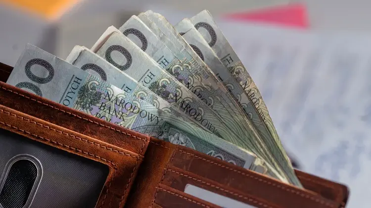 Portfel z polskimi banknotami