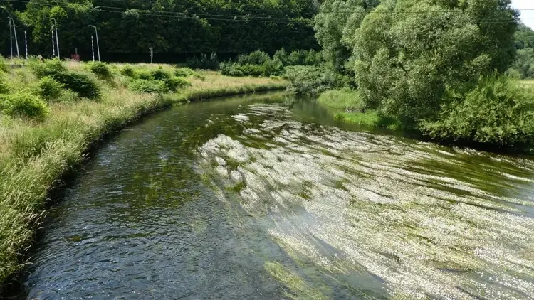 Rzeka Bóbr we Wleniu