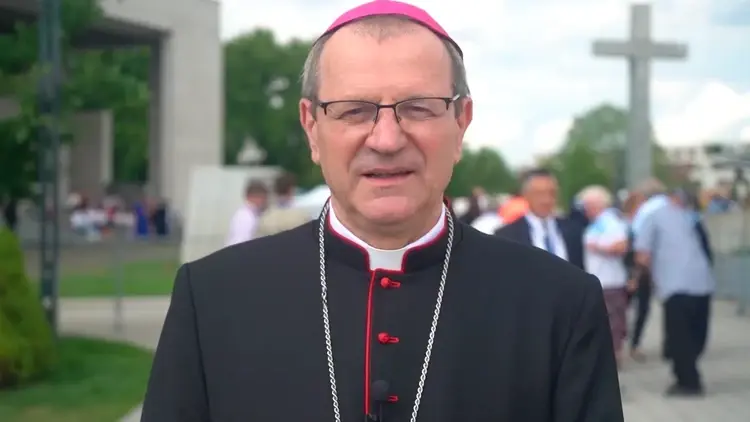 przewodniczący KEP