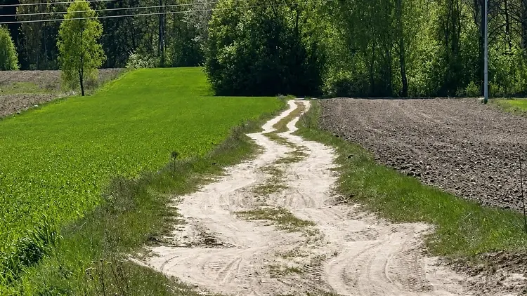 Pola i łąki na polskiej wsi - okolice Kozienic