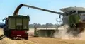kombajn i ciężarówka podczas żniw
