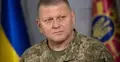 Były naczelny dowódca Ukrainy Walerij Załużny