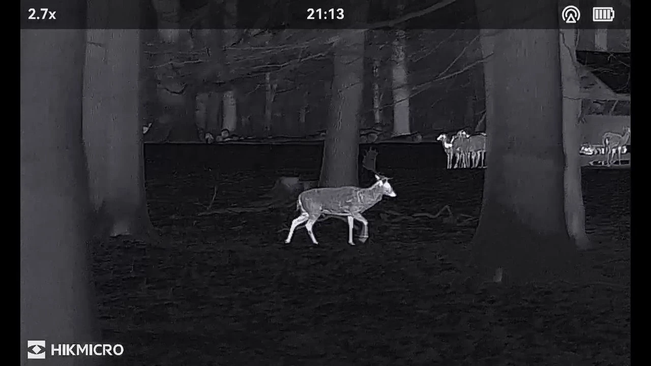 widok z kamery termowizyjnej