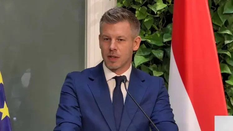 Peter Magyar, premier Węgier i szef partii TISZA