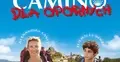 camino dla opornych plakat