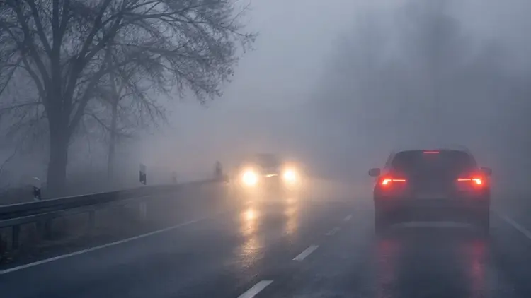 mgła na drodze samochody