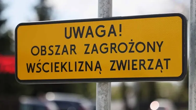Tablica ostrzegająca przed zagrożeniem wścieklizną
