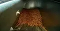 pellet w kotle